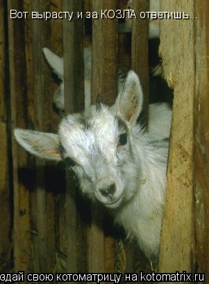 Вот вырасту и за КОЗЛА ответишь...... Котоматрица: Вот вырасту и за КОЗЛА ответишь...