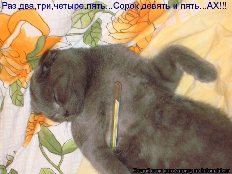 Раз,два,три,четыре,пять...Сорок девять и пять...АХ!!!... Котоматрица: Раз,два,три,четыре,пять...Сорок девять и пять...АХ!!!