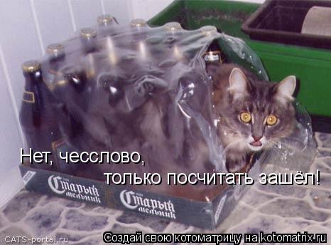 Нет, чесслово, только посчитать зашёл!... Котоматрица: Нет, чесслово, только посчитать зашёл!