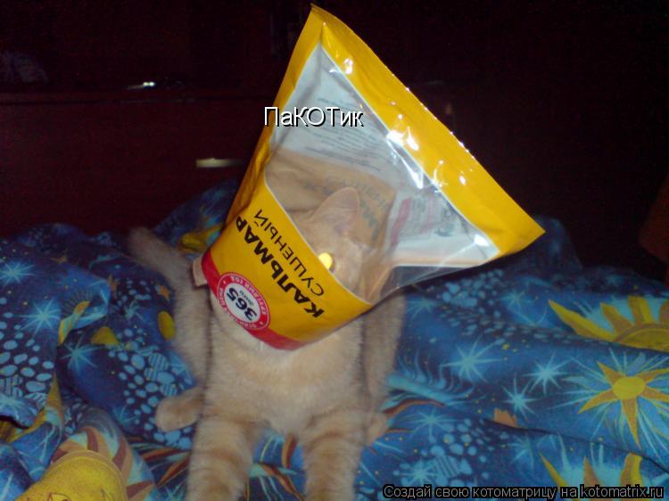 ПаКОТик... Котоматрица: ПаКОТик