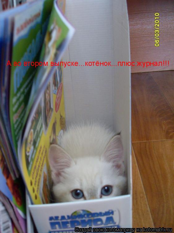 А во втором выпуске...котёнок...плюс журнал!!!... Котоматрица: А во втором выпуске...котёнок...плюс журнал!!!