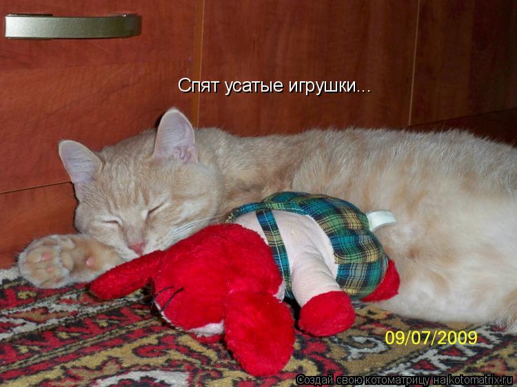 Спят усатые игрушки...... Котоматрица: Спят усатые игрушки...