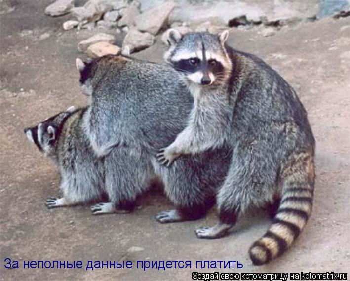 За неполные данные придется платить... Котоматрица: За неполные данные придется платить