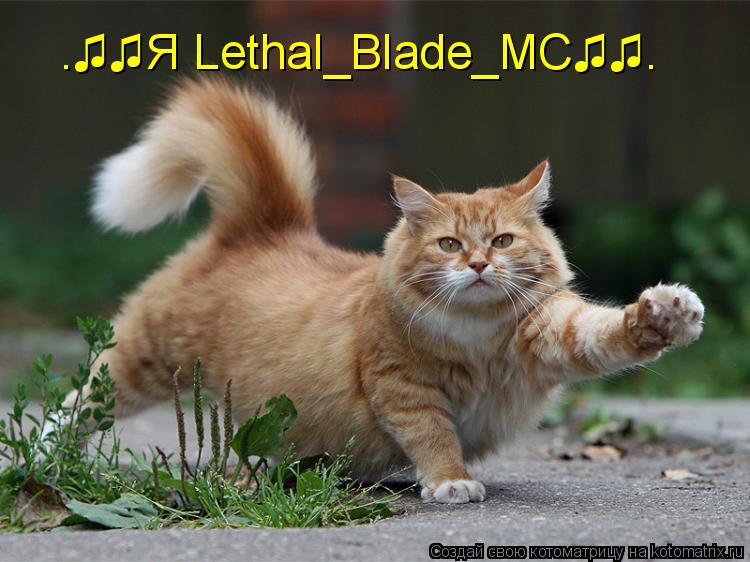 §♫♫Я Lethal_Blade_MC♫♫§... Котоматрица: §♫♫Я Lethal_Blade_MC♫♫§