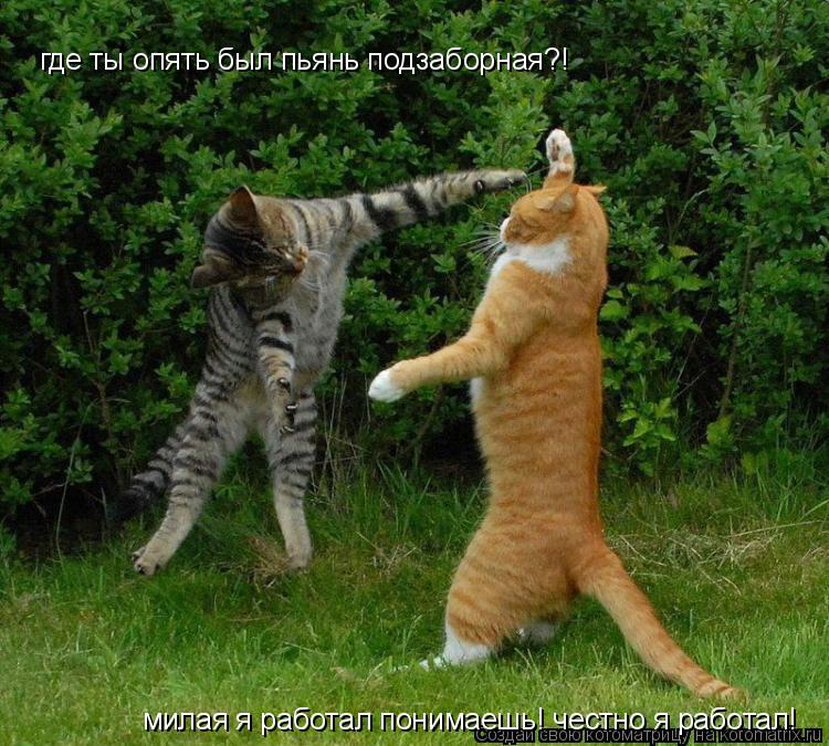 где ты опять был пьянь подзаборная?! где ты опять был пьянь подзаборная?! милая я работал понимаешь! ... Котоматрица: где ты опять был пьянь подзаборная?! где ты опять был пьянь подзаборная?! милая я работал понимаешь! честно я работал!