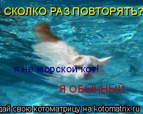 СКОЛКО РАЗ ПОВТОРЯТЬ?!?! я не морской кот! Я ОБЫЧНЫЙ... Котоматрица: СКОЛКО РАЗ ПОВТОРЯТЬ?!?! я не морской кот! Я ОБЫЧНЫЙ