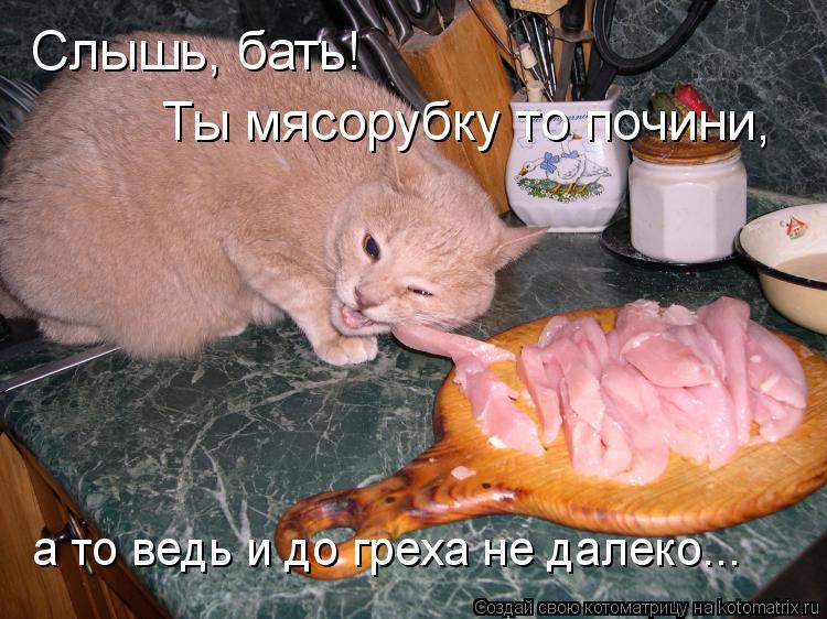 Слышь, бать! Ты мясорубку то почини, а то ведь и до греха не далеко...... Котоматрица: Слышь, бать! Ты мясорубку то почини, а то ведь и до греха не далеко...