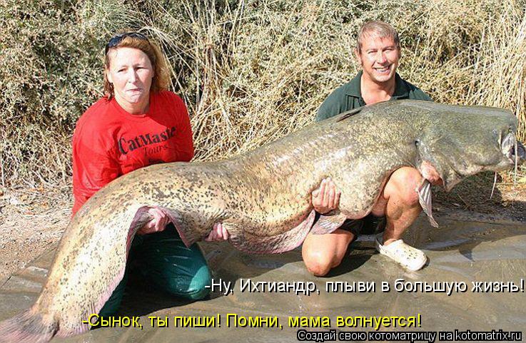 -Ну, Ихтиандр, плыви в большую жизнь! -Сынок, ты пиши! Помни, мама волнуется!... Котоматрица: -Ну, Ихтиандр, плыви в большую жизнь! -Сынок, ты пиши! Помни, мама волнуется!
