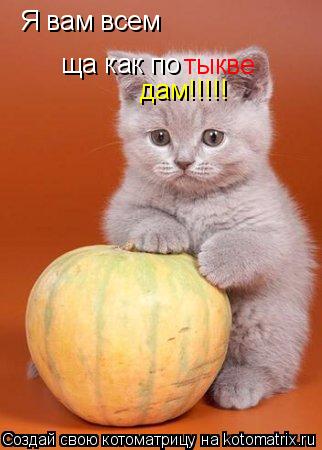 Я вам всем ща как по тыкве дам!!!!!... Котоматрица: Я вам всем ща как по тыкве дам!!!!!