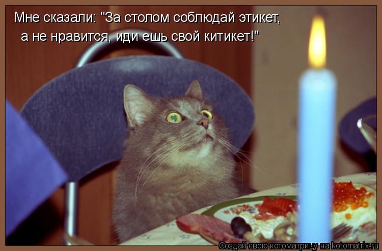 Котоматрица: Мне сказали: "За столом соблюдай этикет, а не нравится, иди ешь свой китикет!"