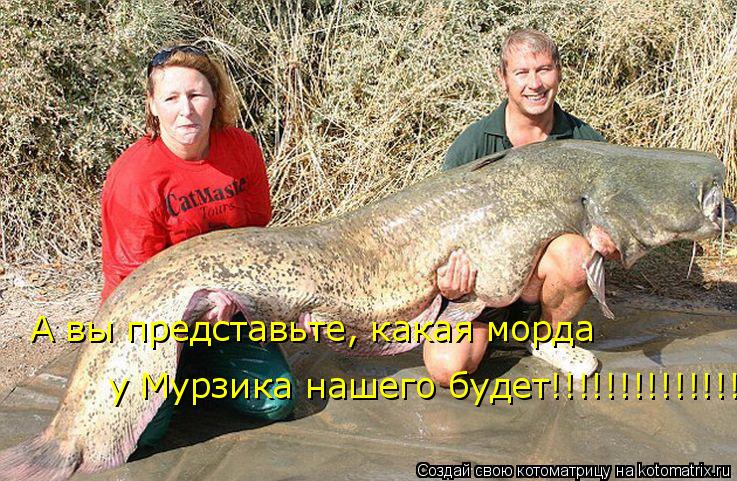А вы представьте, какая морда у Мурзика нашего будет!!!!!!!!!!!!!!!... Котоматрица: А вы представьте, какая морда у Мурзика нашего будет!!!!!!!!!!!!!!!