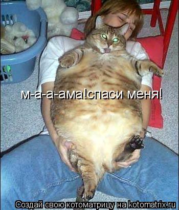 м-а-а-ама!спаси меня!... Котоматрица: м-а-а-ама!спаси меня!