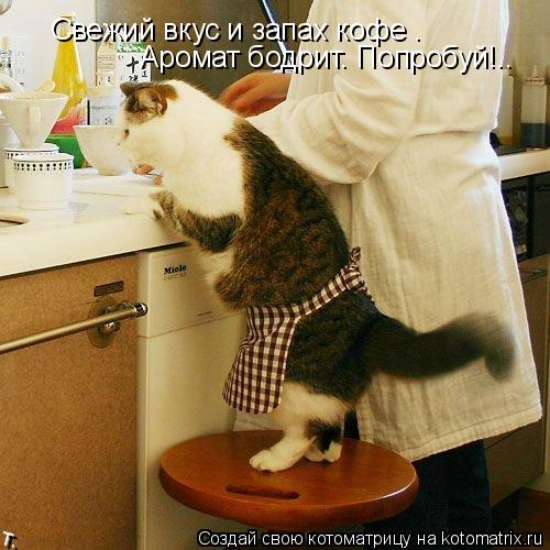 Свежий вкус и запах кофе . Аромат бодрит. Попробуй!..... Котоматрица: Свежий вкус и запах кофе . Аромат бодрит. Попробуй!..