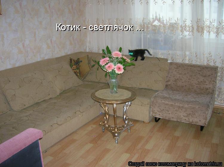 Котик - светлячок ...... Котоматрица: Котик - светлячок ...