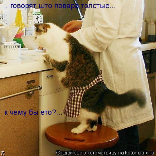 ...говорят што повара толстые... к чему бы ето?...... Котоматрица: ...говорят што повара толстые... к чему бы ето?...
