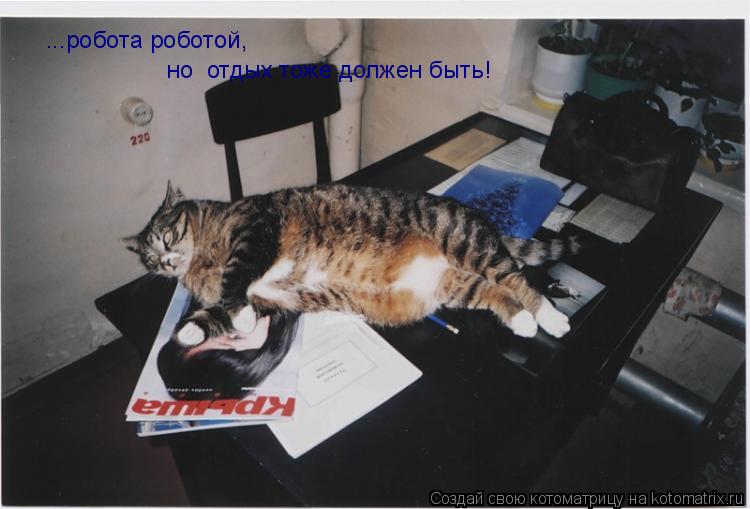 Котоматрица: ...робота роботой, ...робота роботой, но  отдых тоже должен быть!