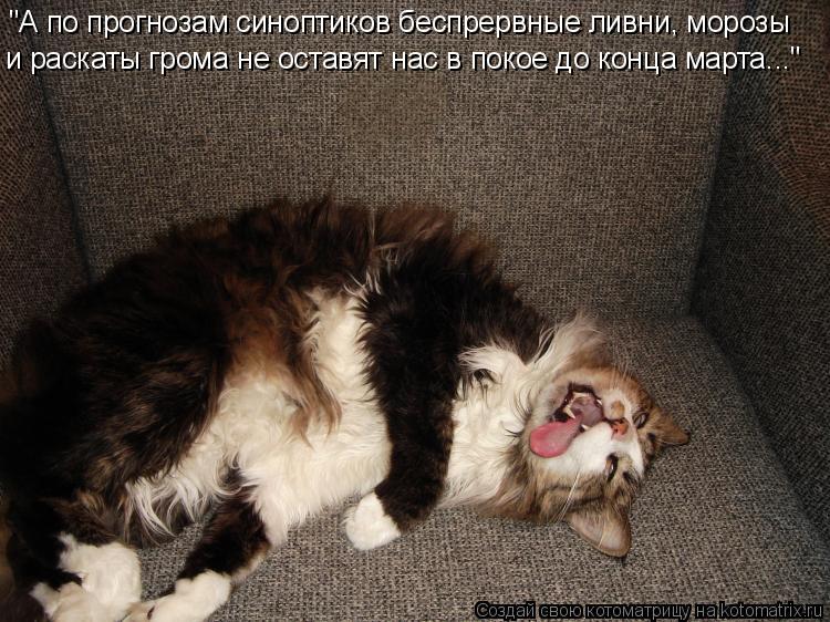 и раскаты грома не оставят нас в покое до конца марта..." "А по прогнозам синоптиков беспрервные лив... Котоматрица: и раскаты грома не оставят нас в покое до конца марта..." "А по прогнозам синоптиков беспрервные ливни, морозы