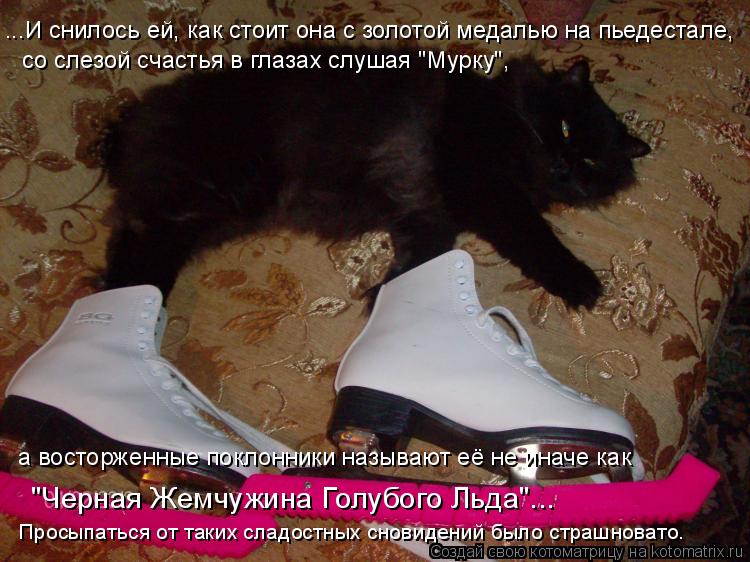 Котоматрица: ...И снилось ей, как стоит она с золотой медалью на пьедестале, со слезой счастья в глазах слушая "Мурку", а восторженные поклонники называют 