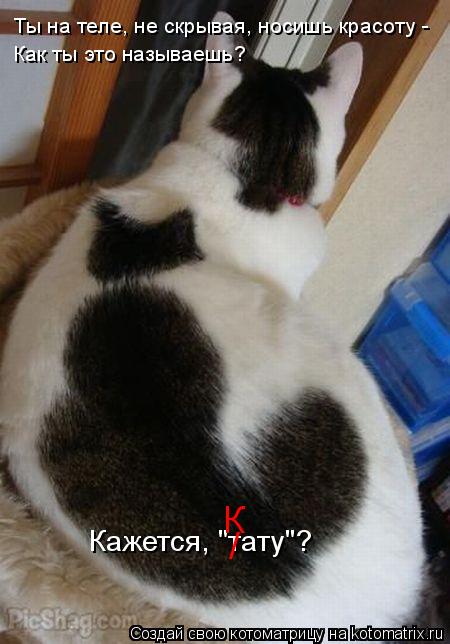 Котоматрица: Ты на теле, не скрывая, носишь красоту -  Как ты это называешь? Кажется, "тату"? / К