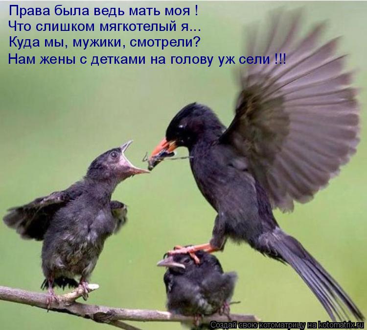 Котоматрица: Права была ведь мать моя ! Что слишком мягкотелый я... Куда мы, мужики, смотрели? Нам жены с детками на голову уж сели !!!