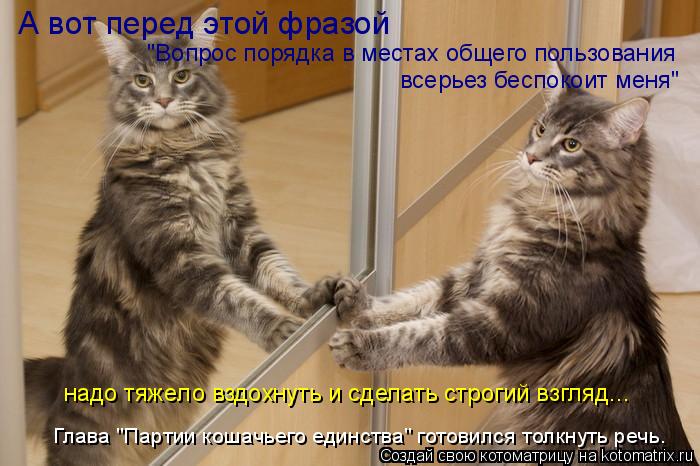 Котоматрица: А вот перед этой фразой "Вопрос порядка в местах общего пользования всерьез беспокоит меня" надо тяжело вздохнуть и сделать строгий взгляд.