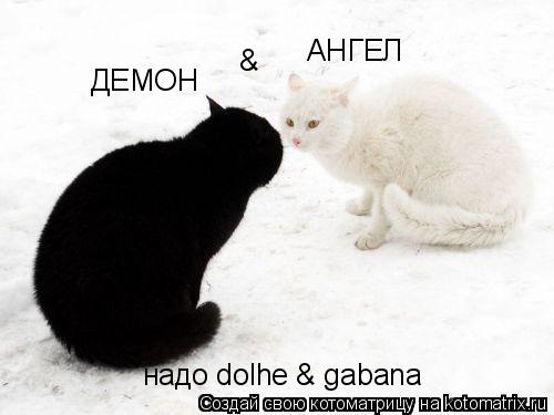 Котоматрица: АНГЕЛ ДЕМОН & надо dolhe & gabana