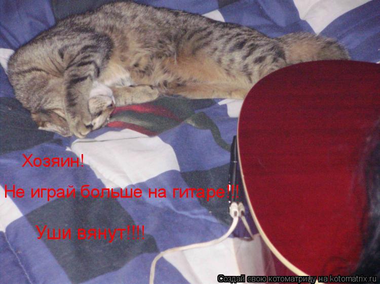 Котоматрица: Хозяин! Не играй больше на гитаре!!! Уши вянут!!!!