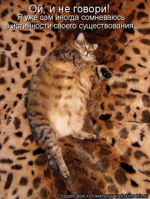 Котоматрица: Ой, и не говори! Я уже сам иногда сомневаюсь в истинности своего существования...