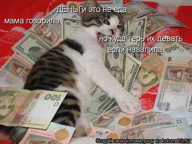 Котоматрица: ДЕНЬГи это не еда мама говорила но куда терь их девать если навалила