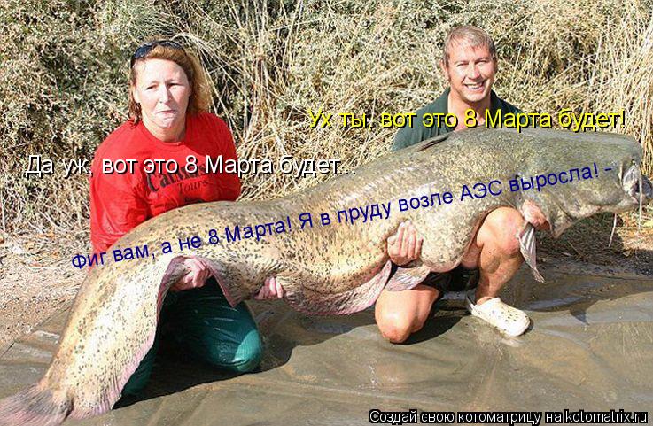 Котоматрица: Ух ты, вот это 8 Марта будет! Да уж, вот это 8 Марта будет... Фиг вам, а не 8 Марта! Я в пруду возле АЭС выросла! -