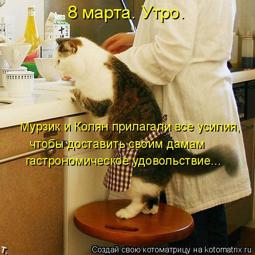 Котоматрица: 8 марта. Утро.  Мурзик и Колян прилагали все усилия, чтобы доставить своим дамам гастрономическое удовольствие...
