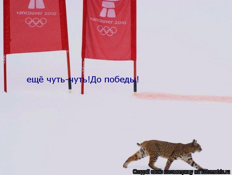 Котоматрица: ещё чуть-чуть!До победы!