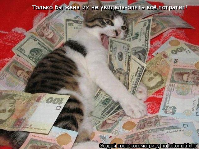 Котоматрица: Только бы жена их не увидела-опять всё потратит!