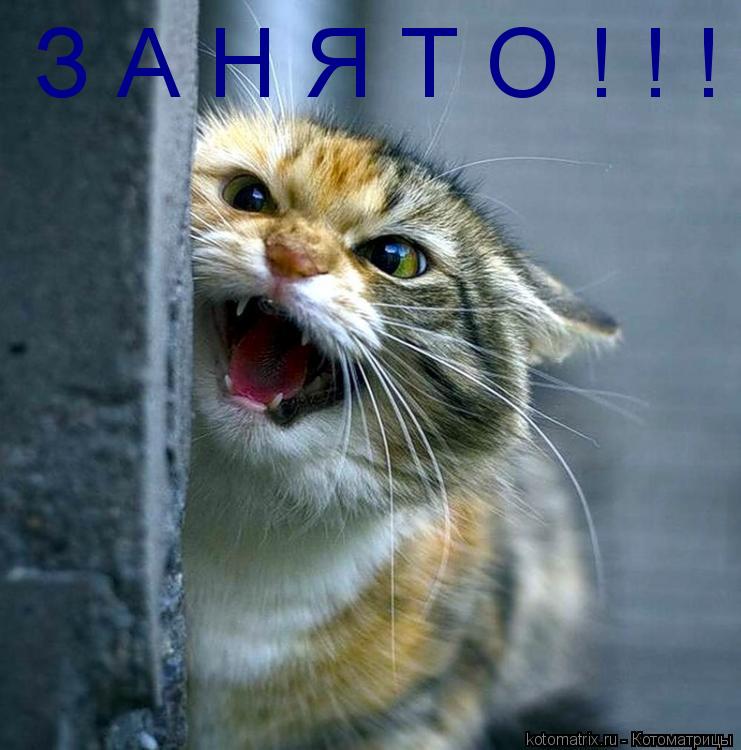 Котоматрица: З А Н Я Т О ! ! ! !!!!!!!!!!!!!!!!!!!!!!!!!!!!!!!!!!!!!!!!!!!!!!!!!!