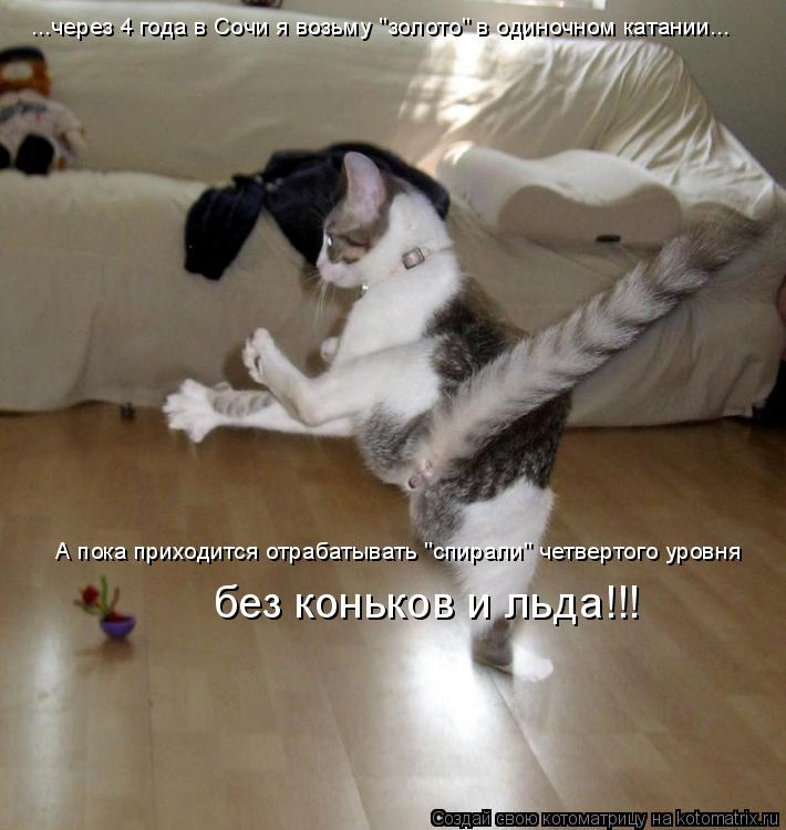 Котоматрица: ...через 4 года в Сочи я возьму "золото" в одиночном катании... А пока приходится отрабатывать "спирали" четвертого уровня без коньков и льда!!!