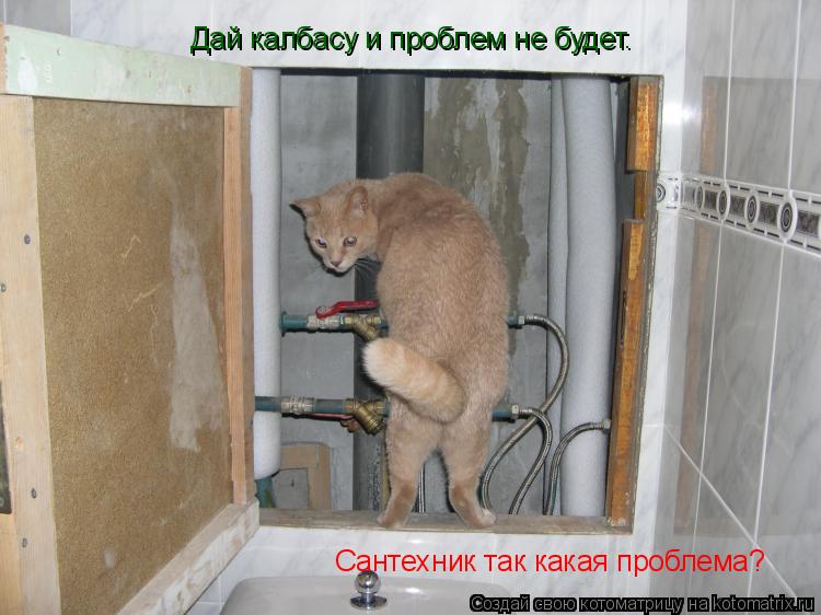 Котоматрица: Сантехник так какая проблема? Дай калбасу и проблем не будет.