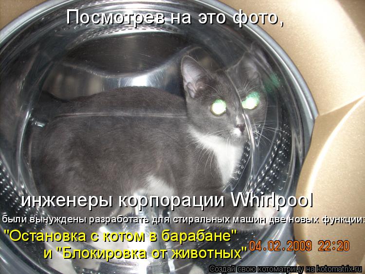 Котоматрица: Посмотрев на это фото, инженеры корпорации Whirlpool были вынуждены разработать для стиральных машин две новых функции: "Остановка с котом в ба