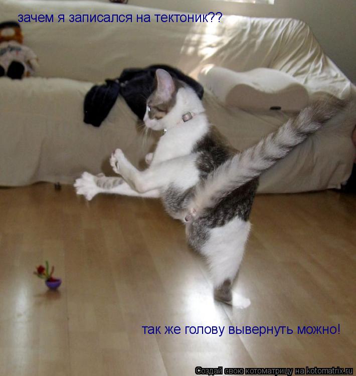 Котоматрица: зачем я записался на тектоник?? так же голову вывернуть можно!