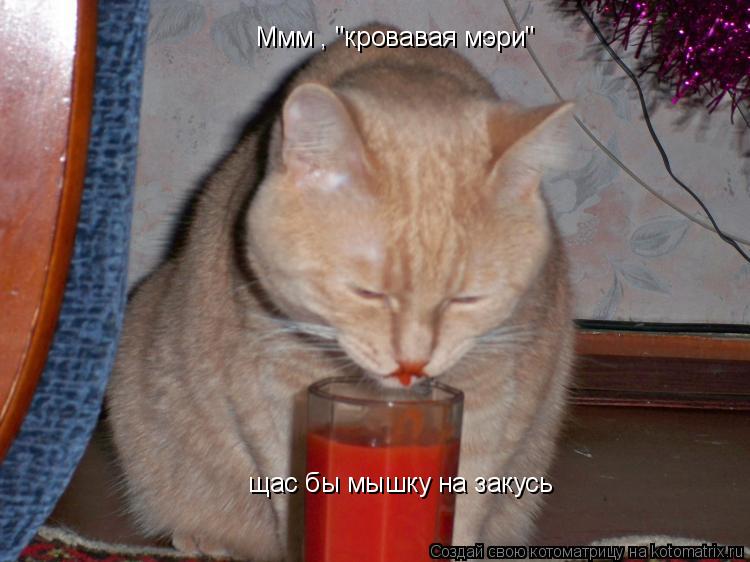 Котоматрица: Ммм , "кровавая мэри"  щас бы мышку на закусь