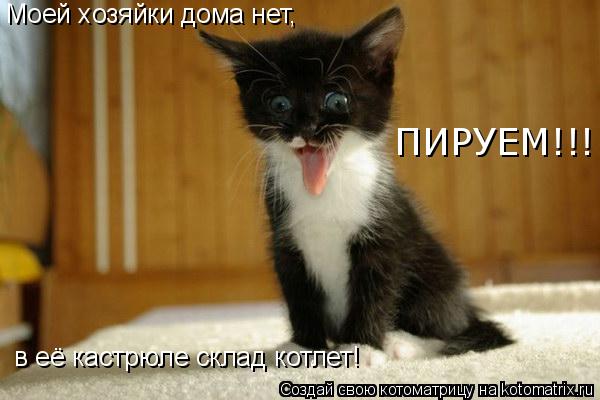 Котоматрица: Моей хозяйки дома нет, в её кастрюле склад котлет! ПИРУЕМ!!!