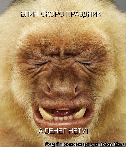 Котоматрица: БЛИН СКОРО ПРАЗДНИК А ДЕНЕГ НЕТУ!