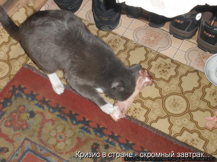 Котоматрица: Кризис в стране - скромный завтрак...