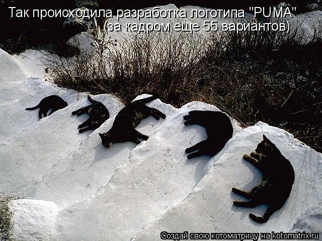 Котоматрица: Так происходила разработка логотипа "PUMA" (за кадром еще 55 вариантов)