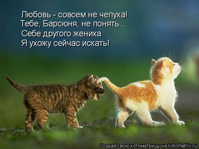 Любовь - совсем не чепуха! Себе другого жениха Я ухожу сейчас искать! Тебе, Барсюня, не понять...... Котоматрица: Любовь - совсем не чепуха! Себе другого жениха Я ухожу сейчас искать! Тебе, Барсюня, не понять...