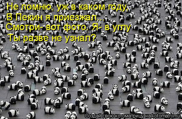 Котоматрица: Не помню, уж в каком году, Смотри- вот фото. Я- в углу В Пекин я приезжал...  Ты разве не узнал?