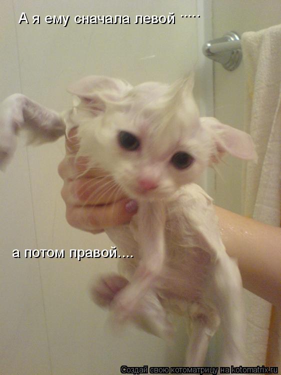 Котоматрица: А я ему сначала левой а потом правой.... .....