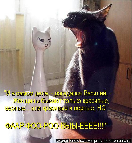 Котоматрица: "И в самом деле, - догадался Василий. -  Женщины бывают только красивые,  верные... или красивые и верные, НО  ФААР-ФОО-РОО-ВЫЫ-ЕЕЕЕ!!!!"