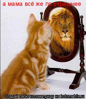 Котоматрица: а мама всё же по страшнее