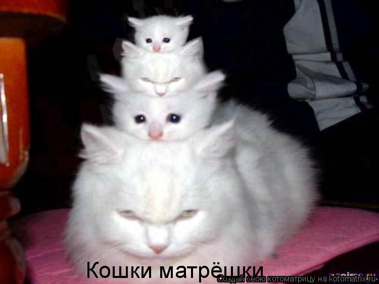 Котоматрица: Кошки матрёшки