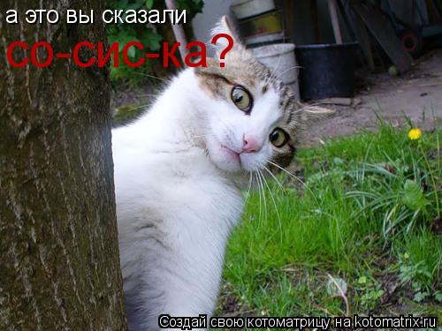 Котоматрица: а это вы сказали  со-сис-ка?